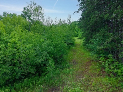 3+ Acres with 285' Frontage on the Moosehorn River in Moose Lake - image 3