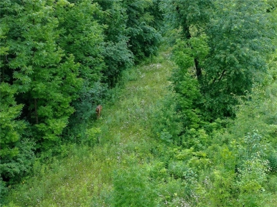 3+ Acres with 285' Frontage on the Moosehorn River in Moose Lake - image 9