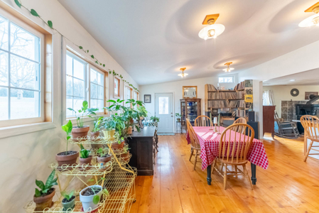 Hobby Farm in the Ozarks | Ava, Missouri - image 9
