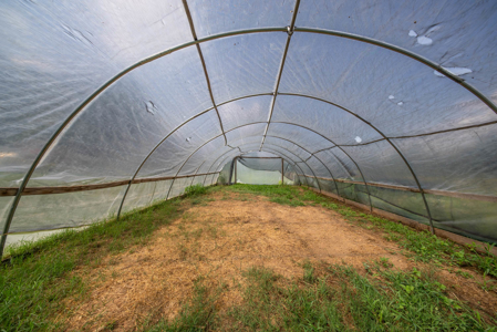 Hobby Farm in the Ozarks | Ava, Missouri - image 28