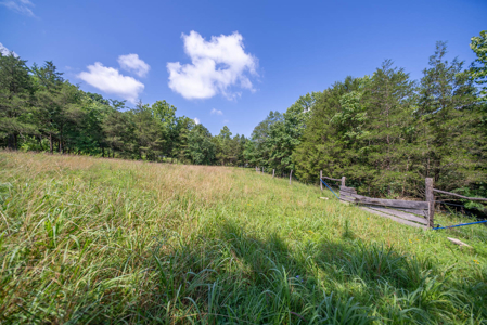Hobby Farm in the Ozarks | Ava, Missouri - image 25