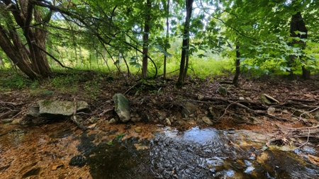 Hobby Farm in the Ozarks | Ava, Missouri - image 46