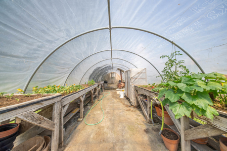 Hobby Farm in the Ozarks | Ava, Missouri - image 34