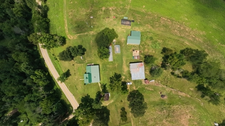 Hobby Farm in the Ozarks | Ava, Missouri - image 43