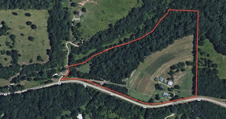 Hobby Farm in the Ozarks | Ava, Missouri - image 2
