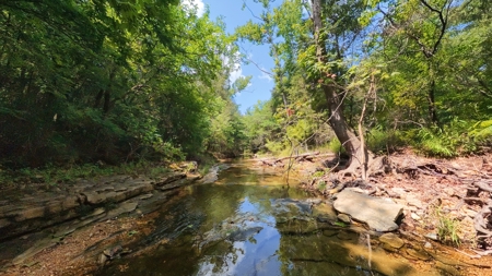 Hobby Farm in the Ozarks | Ava, Missouri - image 49