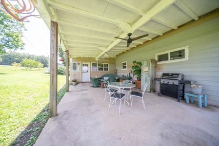 Hobby Farm in the Ozarks | Ava, Missouri - image 37