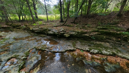 Hobby Farm in the Ozarks | Ava, Missouri - image 47
