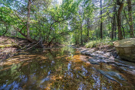 Hobby Farm in the Ozarks | Ava, Missouri - image 50