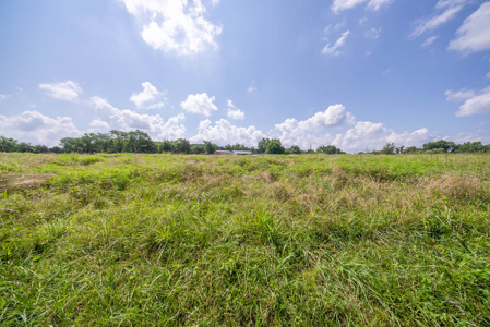 Hobby Farm in the Ozarks | Ava, Missouri - image 27