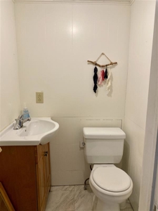 Horse Property in Town with Commercial Opportunity - image 24