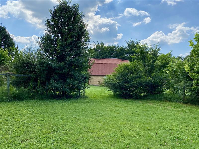 No Caption
