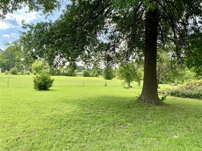 Horse Property in Town with Commercial Opportunity - image 36