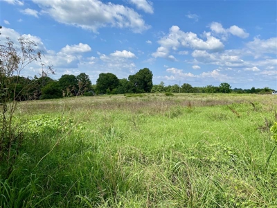 Horse Property in Town with Commercial Opportunity - image 35