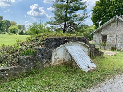 Horse Property in Town with Commercial Opportunity - image 7