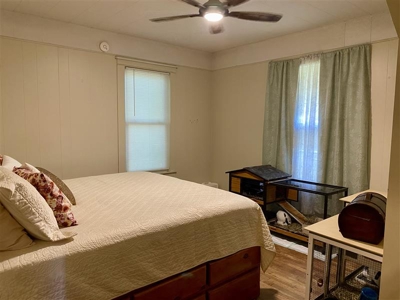 Horse Property in Town with Commercial Opportunity - image 18