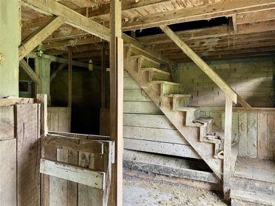 Horse Property in Town with Commercial Opportunity - image 30