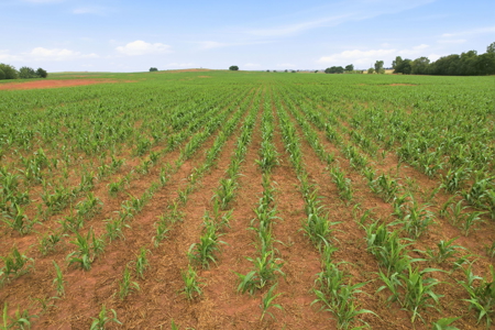 160 Acres of Prime Development Land for Sale, Logan County, OK - image 14