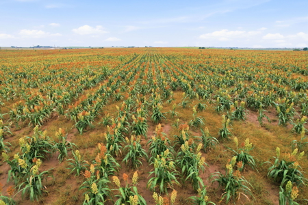 160 Acres of Prime Development Land for Sale, Logan County, OK - image 19