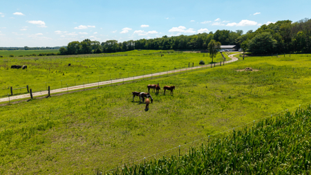 Country Home & Premier Equine Facility | Easton, Missouri - image 7