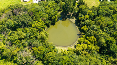 Country Home & Premier Equine Facility | Easton, Missouri - image 12