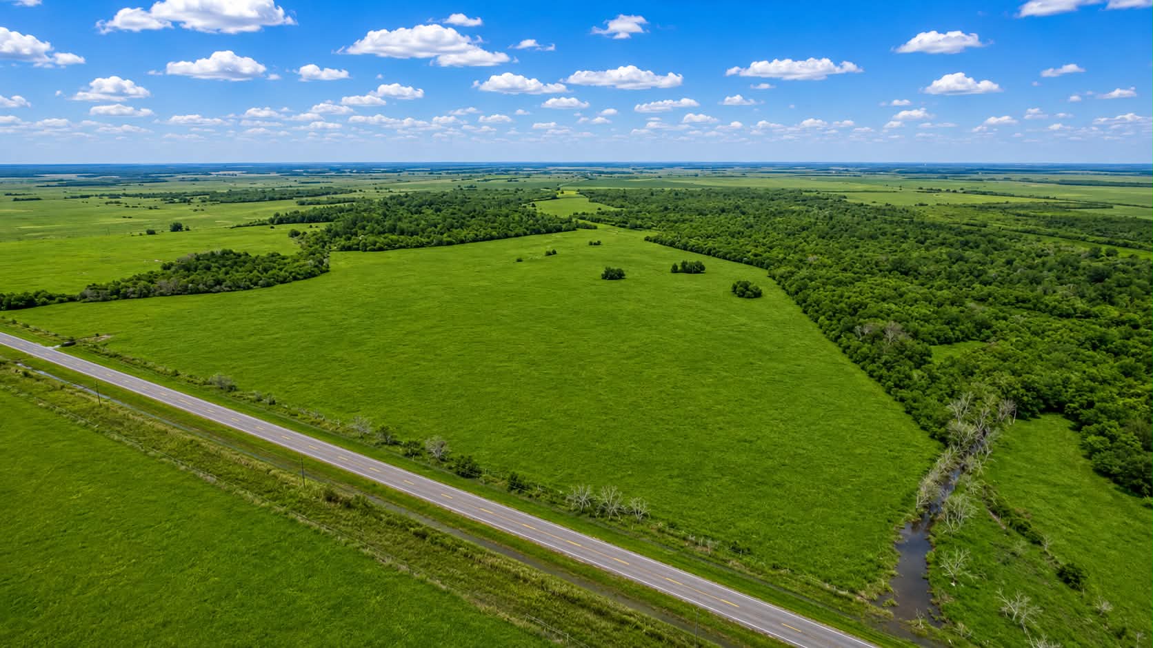 Drone Picture of 95 acres in Chambers county