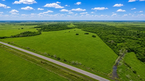 Drone Picture of 95 acres in Chambers county