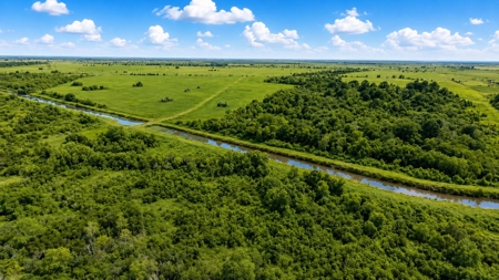 95.91 Acres for Sale in Anahuac, Texas | Unrestricted Land - image 2