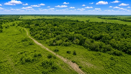 95.91 Acres for Sale in Anahuac, Texas | Unrestricted Land - image 3