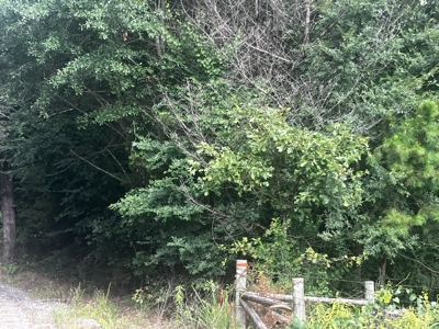 Just In Time For Deer Season 10.68 Acres Near the National Forest - image 9