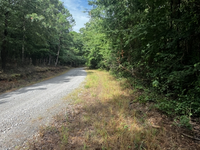 Just In Time For Deer Season 10.68 Acres Near the National Forest - image 16