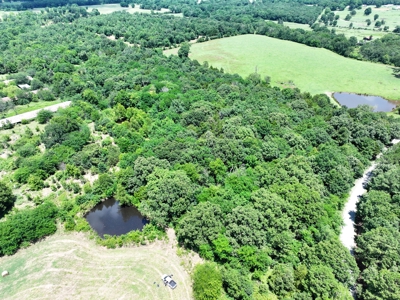 Just In Time For Deer Season 10.68 Acres Near the National Forest - image 5