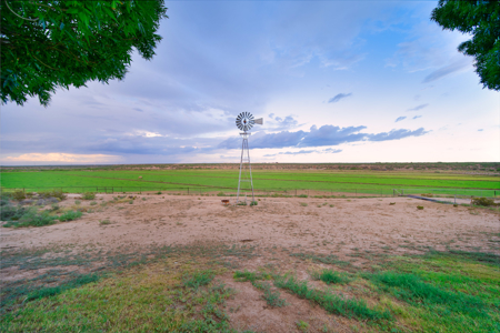 The Two Rivers Estate - Where Country Living Meets Luxury - image 3