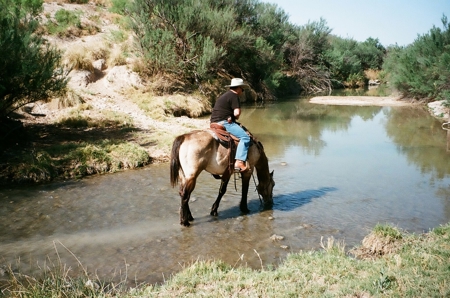 The Two Rivers Estate - Where Country Living Meets Luxury - image 12