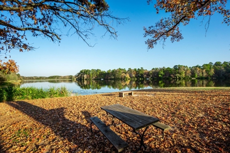 1.56 Acre Lots in Horseshoe Bend Winnsboro, TX East of Dallas - image 14