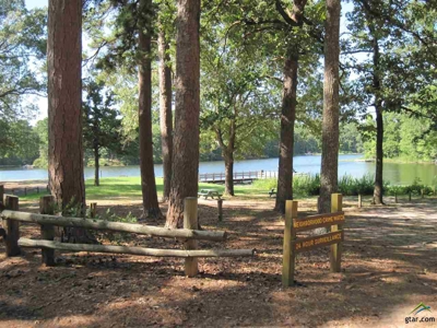 1.56 Acre Lots in Horseshoe Bend Winnsboro, TX East of Dallas - image 16