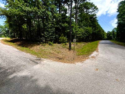 1.56 Acre Lots in Horseshoe Bend Winnsboro, TX East of Dallas - image 1