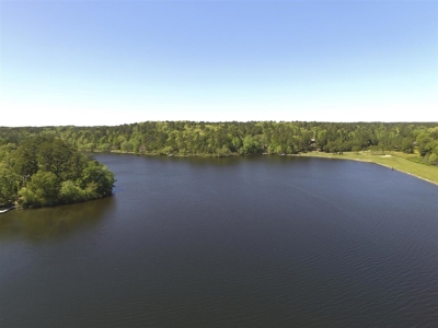 1.56 Acre Lots in Horseshoe Bend Winnsboro, TX East of Dallas - image 7