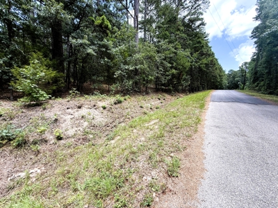 1.56 Acre Lots in Horseshoe Bend Winnsboro, TX East of Dallas - image 2
