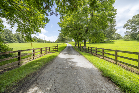 Premier TN Estate w/ Log Home, Stocked Lake, Barn, & Guest House - image 2