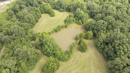 Premier TN Estate w/ Log Home, Stocked Lake, Barn, & Guest House - image 48