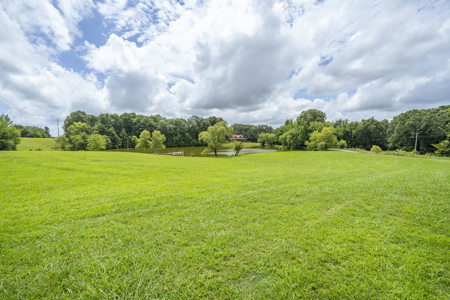 Premier TN Estate w/ Log Home, Stocked Lake, Barn, & Guest House - image 44