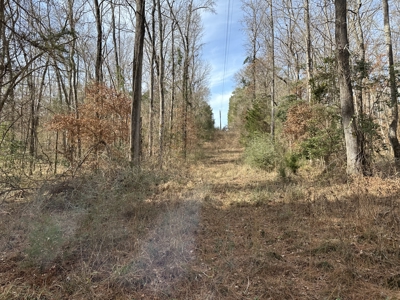 East Texas Hunting/Recreational Land For Sale - image 1