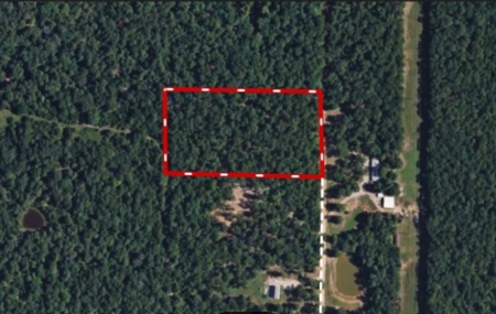 5 Acre Hardwood Haven - Land for Sale in the Ozarks - image 5