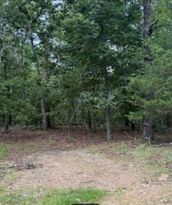 5 Acre Hardwood Haven - Land for Sale in the Ozarks - image 2