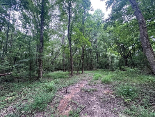 98± Acres in Natchez, MS on Second Creek