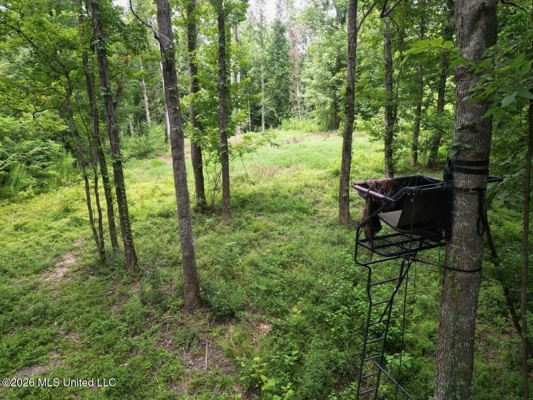 98± Acres in Natchez, MS on Second Creek