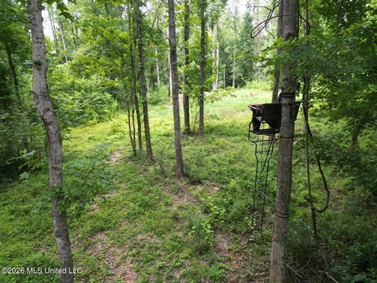 98± Acres in Natchez, MS on Second Creek