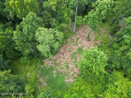 98± Acres in Natchez, MS on Second Creek