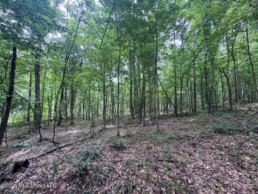 98± Acres in Natchez, MS on Second Creek